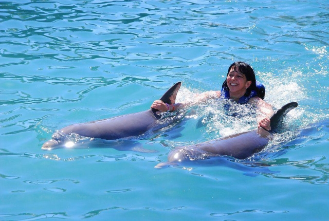  Swimming with dolphins 